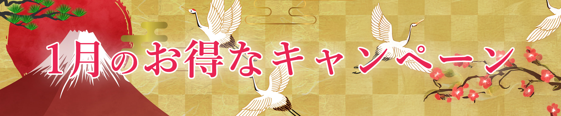 1月のキャンペーン