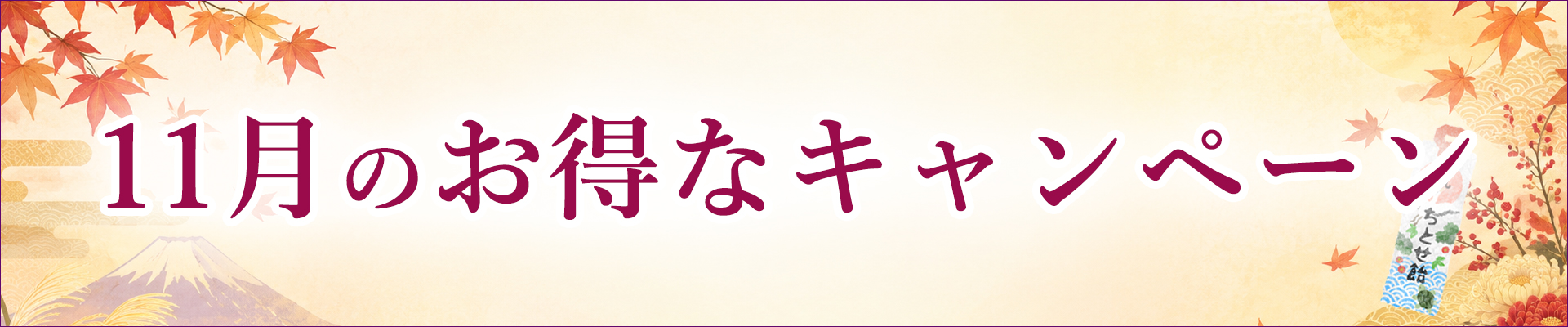 11月のキャンペーン